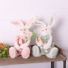 Rabbit Holding Carrot & Flower (Set of 2) Fabric