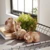 Rabbit (Set of 6) 9"H Terracota