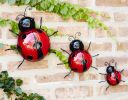 Wall Mountable Ladybugs (Set of 6) 3.75"H, 3"H, 2.25"H