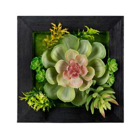 Hanging Succulent Wall Decor (Set of 6) Plastic