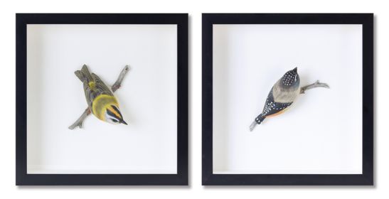 Bird Shadow Box (Set of 2) 12"L x 12"H MDF/Resin