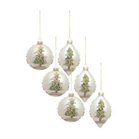 Ornament (Set of 6) 5"H, 6"H Glass