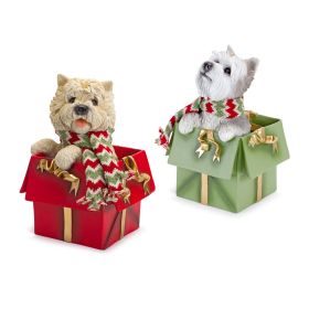 Dog in Package (Set of 2) 11"H, 11.5"H Resin