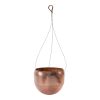 Hanging Planter 10"D x 8.5"H Metal (21" Hanger)