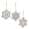 Snowflake Ornament (Set of 3) 4.75"H Resin