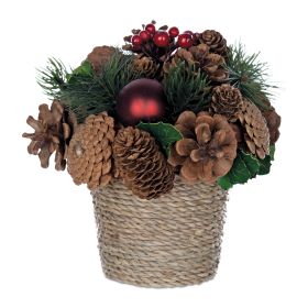 Potted Pine Cone Design (Set of 2) 7.5"H Foam/Cone