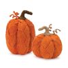 Pumpkin (Set of 2) 7.5"H, 10.5"H Rope