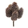 Pine Cone Bundle (Set of 12) 9"H Cone