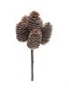 Pine Cone Bundle (Set of 12) 9"H Cone