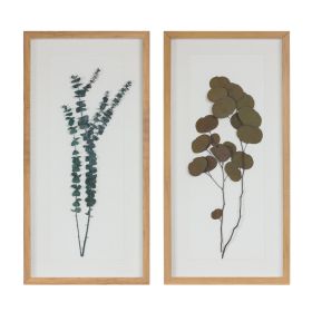 Framed Foliage (Set of 2) 14"L x 27.5"H Wood/Paper