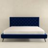 Dillon  Blue Velvet Platform Bed (King Size)