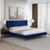 Dillon  Blue Velvet Platform Bed (King Size)