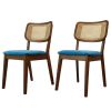 Hazel Mid-Century Modern Navy Blue Velvet Solid Wood Dining Chair(Set of 2)