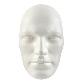 Sumerian Masculine Face // Matte White