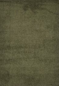 Shaggy Area Rugs, Carpets For Livingroom, 5x7 Area Rugs ,Shaggy Green