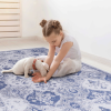 6x9 Area Rugs, Blue Washable Rug, Low-Pile, Non-Slip, Non-Shedding, Foldable, Kid & Pet Friendly - Area Rugs for living room, bedroom, kitchen, dining