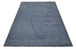 Shaggy Area Rugs, Carpets For Livingroom, 5x7 Area Rugs ,Shaggy Light Blue