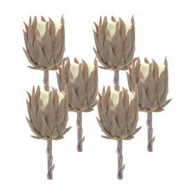 Protea Stem (Set of 6) 20"H Plastic (Option: Plastic, PolyesterBrown)